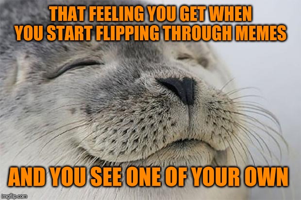 It feels good to think that I've been here that long. I suppose a few months is all it takes  | THAT FEELING YOU GET WHEN YOU START FLIPPING THROUGH MEMES; AND YOU SEE ONE OF YOUR OWN | image tagged in memes,satisfied seal,imgflippers,whaaat,smug bear,satisfaction | made w/ Imgflip meme maker