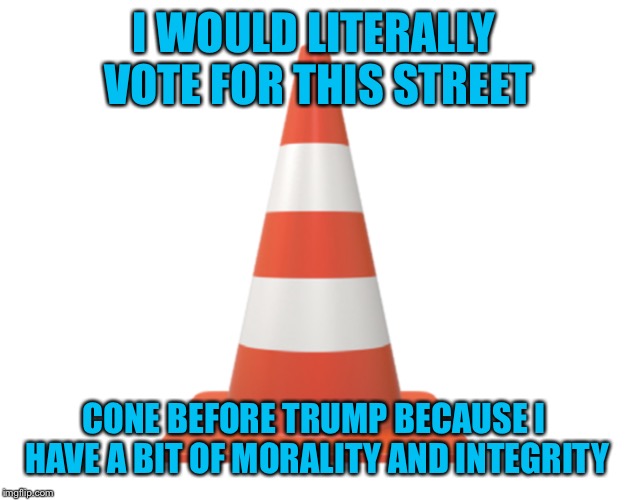 Trumps new wall | I WOULD LITERALLY VOTE FOR THIS STREET CONE BEFORE TRUMP BECAUSE I HAVE A BIT OF MORALITY AND INTEGRITY | image tagged in trumps new wall | made w/ Imgflip meme maker