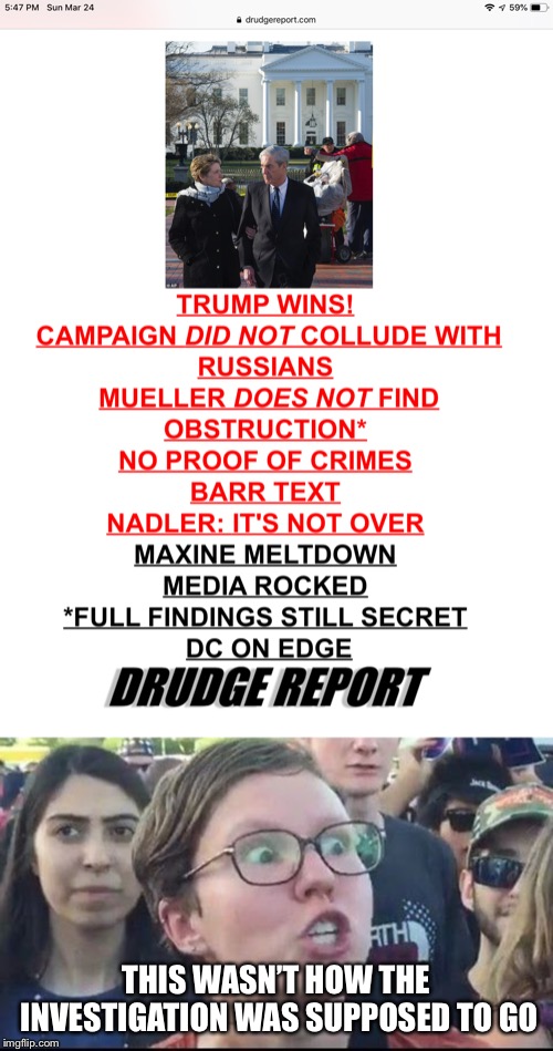 Liberal Heads explode over Mueller report | THIS WASN’T HOW THE INVESTIGATION WAS SUPPOSED TO GO | image tagged in angry liberal,robert mueller,donald trump,political meme,memes | made w/ Imgflip meme maker