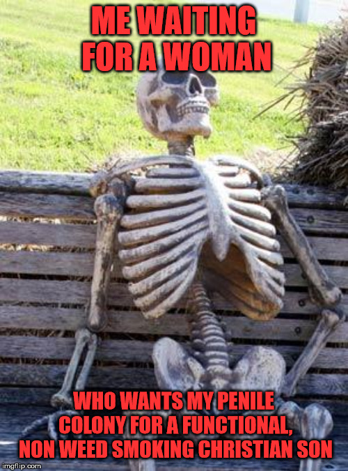 Waiting Skeleton Meme | ME WAITING FOR A WOMAN WHO WANTS MY PENILE COLONY FOR A FUNCTIONAL, NON WEED SMOKING CHRISTIAN SON | image tagged in memes,waiting skeleton | made w/ Imgflip meme maker