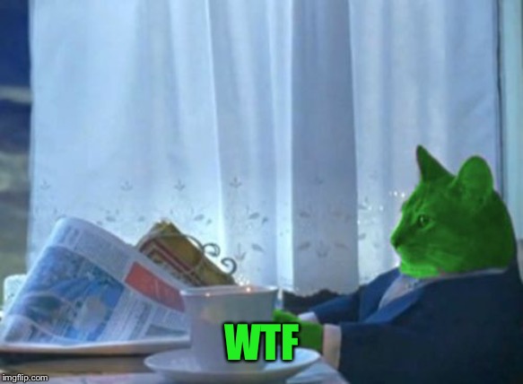 I Should Buy a Boat RayCat | WTF | image tagged in i should buy a boat raycat | made w/ Imgflip meme maker
