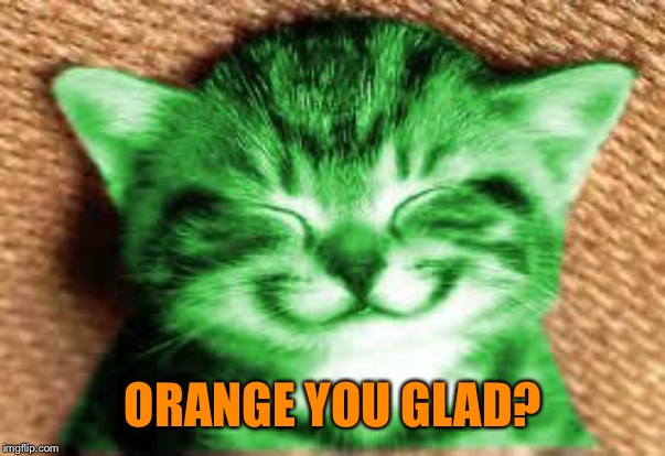 happy RayCat | ORANGE YOU GLAD? | image tagged in happy raycat | made w/ Imgflip meme maker