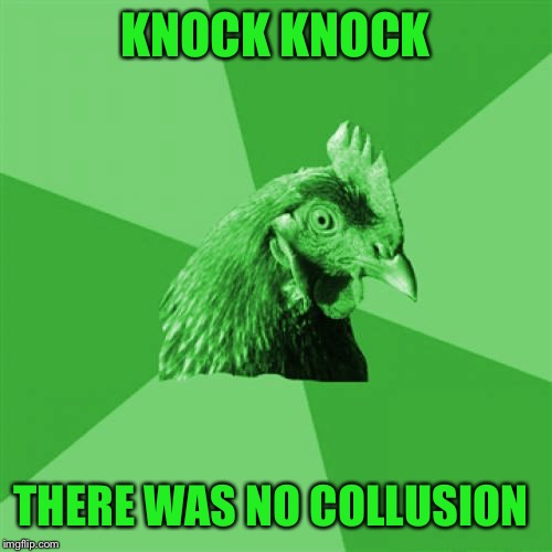 Anti-Joke RayChick | KNOCK KNOCK THERE WAS NO COLLUSION | image tagged in anti-joke raychick | made w/ Imgflip meme maker