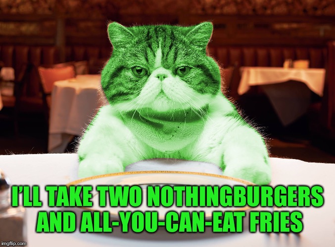 RayCat Hungry | I’LL TAKE TWO NOTHINGBURGERS AND ALL-YOU-CAN-EAT FRIES | image tagged in raycat hungry | made w/ Imgflip meme maker