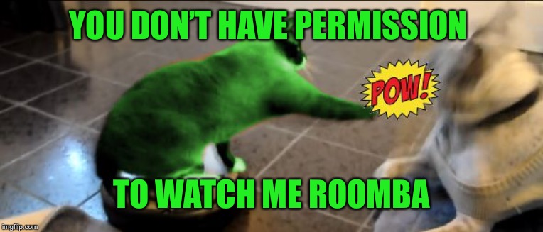 RayCat Roomba | YOU DON’T HAVE PERMISSION TO WATCH ME ROOMBA | image tagged in raycat roomba | made w/ Imgflip meme maker