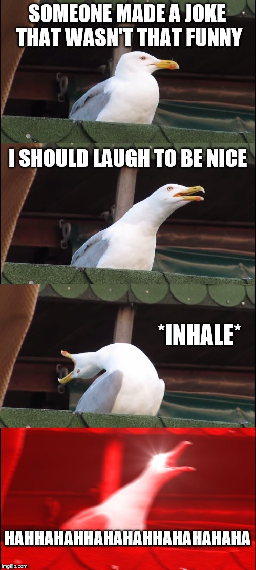 Inhaling Seagull Meme | SOMEONE MADE A JOKE THAT WASN'T THAT FUNNY; I SHOULD LAUGH TO BE NICE; *INHALE*; HAHHAHAHHAHAHAHHAHAHAHAHA | image tagged in memes,inhaling seagull | made w/ Imgflip meme maker
