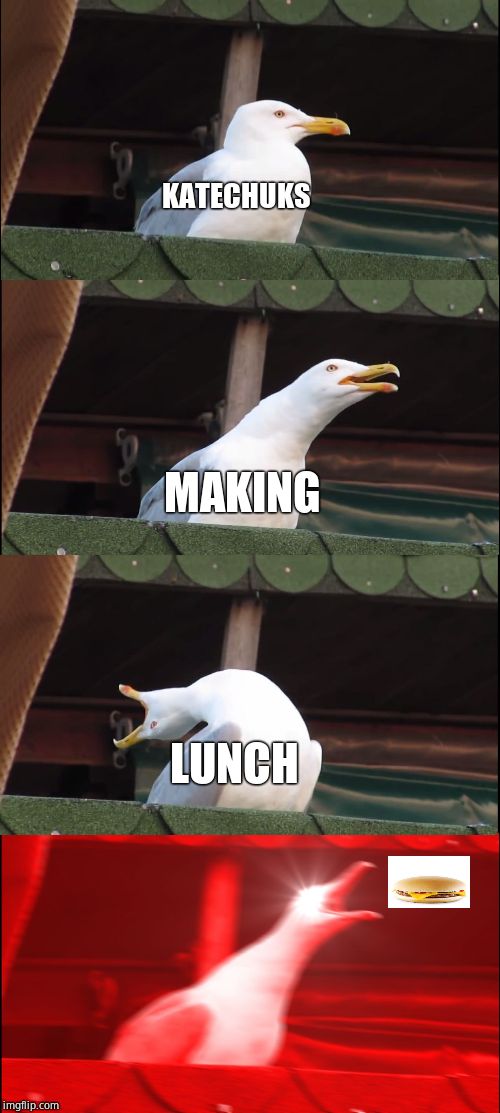 How Katechuks feeds her kids. It's scandalous. | KATECHUKS; MAKING; LUNCH | image tagged in memes,inhaling seagull,conan the barbarian,sad | made w/ Imgflip meme maker