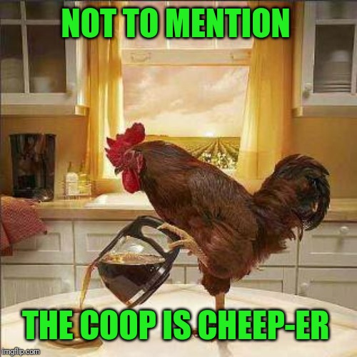 coffee chicken | NOT TO MENTION THE COOP IS CHEEP-ER | image tagged in coffee chicken | made w/ Imgflip meme maker