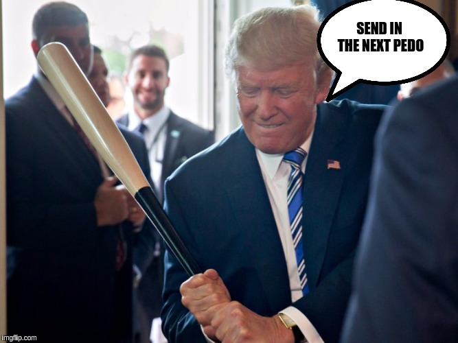 #TRUMP | SEND IN THE NEXT PEDO | image tagged in the great awakening | made w/ Imgflip meme maker