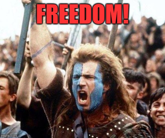braveheart freedom | FREEDOM! | image tagged in braveheart freedom | made w/ Imgflip meme maker