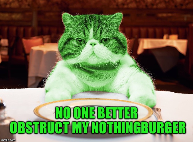 RayCat Hungry | NO ONE BETTER OBSTRUCT MY NOTHINGBURGER | image tagged in raycat hungry | made w/ Imgflip meme maker
