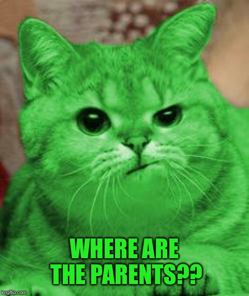 RayCat Annoyed | WHERE ARE THE PARENTS?? | image tagged in raycat annoyed | made w/ Imgflip meme maker