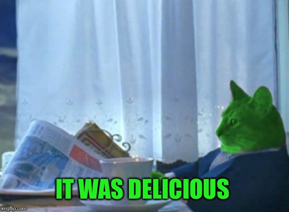 I Should Buy a Boat RayCat | IT WAS DELICIOUS | image tagged in i should buy a boat raycat | made w/ Imgflip meme maker