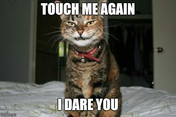 Evil Smile Cat | TOUCH ME AGAIN; I DARE YOU | image tagged in evil smile cat | made w/ Imgflip meme maker