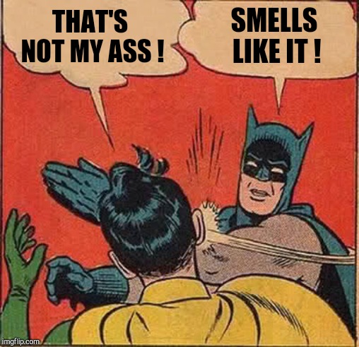 Batman Slapping Robin Meme | THAT'S NOT MY ASS ! SMELLS LIKE IT ! | image tagged in memes,batman slapping robin | made w/ Imgflip meme maker
