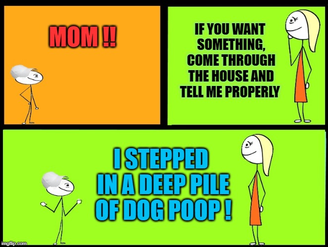 classic backfire | IF YOU WANT SOMETHING, COME THROUGH THE HOUSE AND TELL ME PROPERLY; MOM !! I STEPPED IN A DEEP PILE OF DOG POOP ! | image tagged in comic,dog poop,silly,kewlew | made w/ Imgflip meme maker