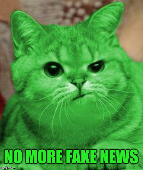 RayCat Annoyed | NO MORE FAKE NEWS | image tagged in raycat annoyed | made w/ Imgflip meme maker