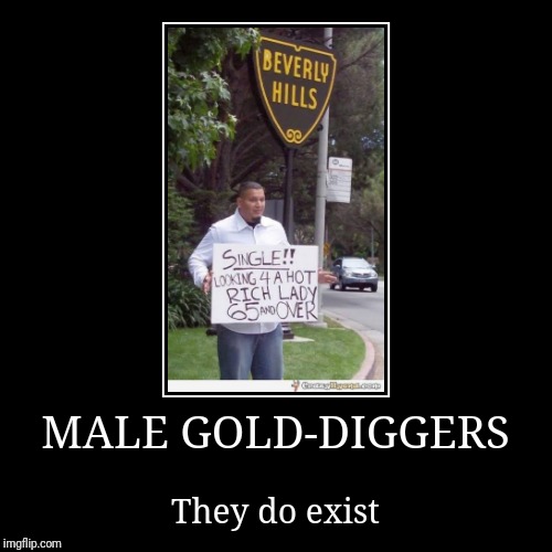 PicturePunches: Meme: Gold Digger