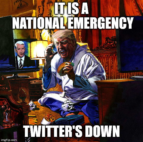 National Emergency | IT IS A NATIONAL EMERGENCY; TWITTER'S DOWN | image tagged in trump,national emergency ncy,political meme,political humor | made w/ Imgflip meme maker