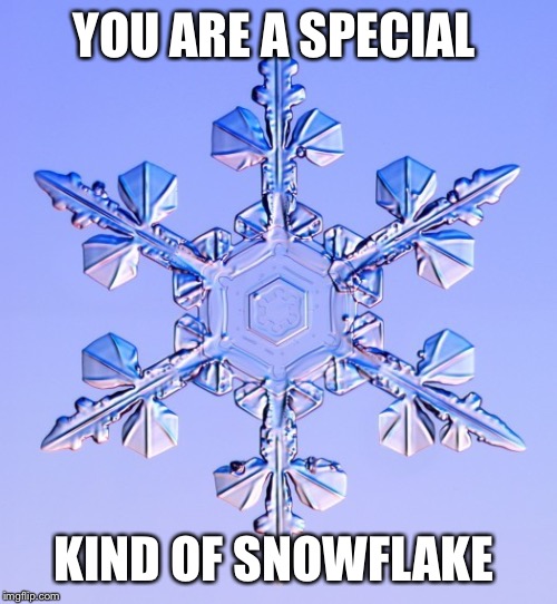 Special snowflake | YOU ARE A SPECIAL KIND OF SNOWFLAKE | image tagged in special snowflake | made w/ Imgflip meme maker
