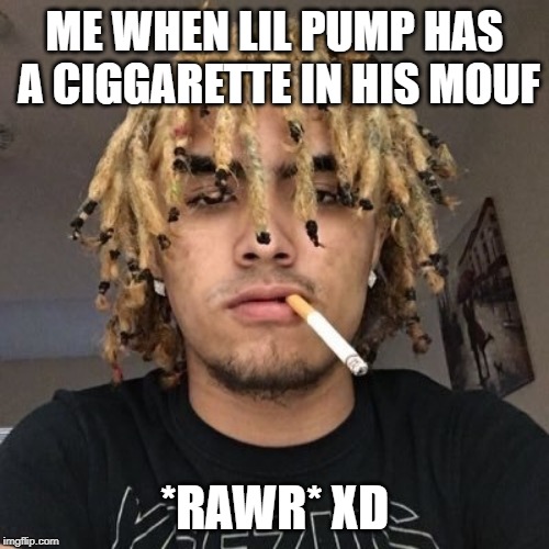 ME WHEN LIL PUMP HAS A CIGGARETTE IN HIS MOUF; *RAWR* XD | image tagged in lil pump | made w/ Imgflip meme maker