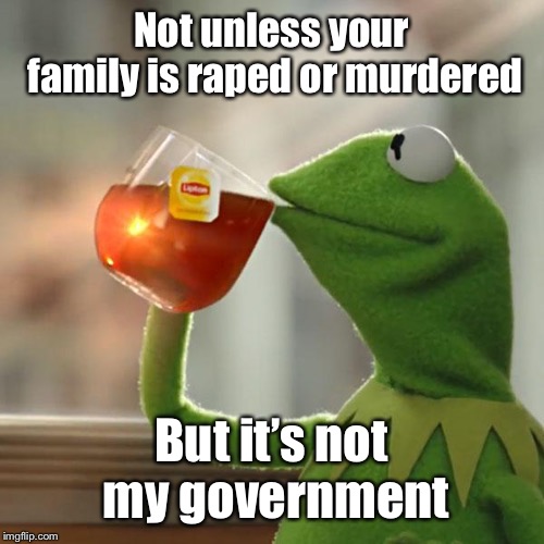 But That's None Of My Business Meme | Not unless your family is **ped or murdered But it’s not my government | image tagged in memes,but thats none of my business,kermit the frog | made w/ Imgflip meme maker