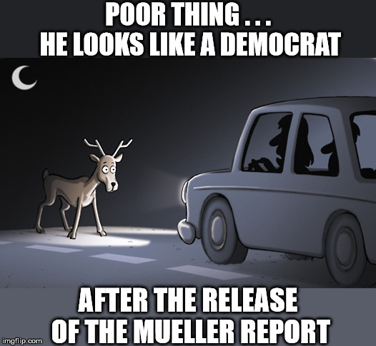Mueller Report | POOR THING . . . HE LOOKS LIKE A DEMOCRAT; AFTER THE RELEASE OF THE MUELLER REPORT | image tagged in deer in the headlights,memes,robert mueller,report,politics,trump russia collusion | made w/ Imgflip meme maker