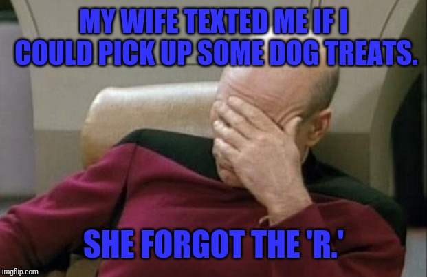You need to make sure you proofread your texts before you send them. | MY WIFE TEXTED ME IF I COULD PICK UP SOME DOG TREATS. SHE FORGOT THE 'R.' | image tagged in memes,captain picard facepalm,wife,dog,texting | made w/ Imgflip meme maker