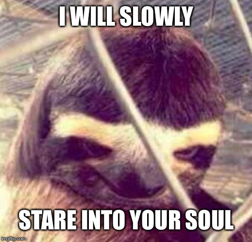 I will slowly | I WILL SLOWLY; STARE INTO YOUR SOUL | image tagged in i will slowly | made w/ Imgflip meme maker