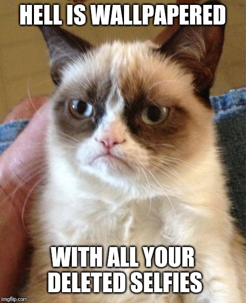 Grumpy Cat | HELL IS WALLPAPERED; WITH ALL YOUR DELETED SELFIES | image tagged in memes,grumpy cat | made w/ Imgflip meme maker
