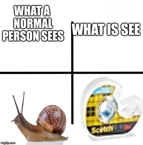 Don’t think about it to hard | WHAT IS SEE; WHAT A NORMAL PERSON SEES | image tagged in memes,blank starter pack,snail,tape | made w/ Imgflip meme maker