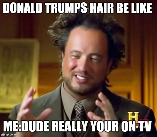 hair be like | DONALD TRUMPS HAIR BE LIKE; ME:DUDE REALLY YOUR ON TV | image tagged in memes,ancient aliens | made w/ Imgflip meme maker