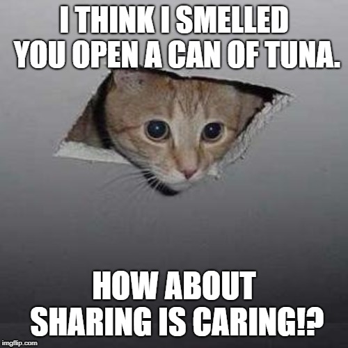 Cat wants tuna. | I THINK I SMELLED YOU OPEN A CAN OF TUNA. HOW ABOUT SHARING IS CARING!? | image tagged in memes,ceiling cat | made w/ Imgflip meme maker