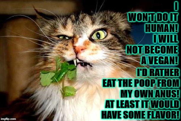 I WON'T DO IT | I WON'T DO IT HUMAN! I WILL NOT BECOME A VEGAN! I'D RATHER EAT THE POOP FROM MY OWN ANUS! AT LEAST IT WOULD HAVE SOME FLAVOR! | image tagged in i won't do it | made w/ Imgflip meme maker