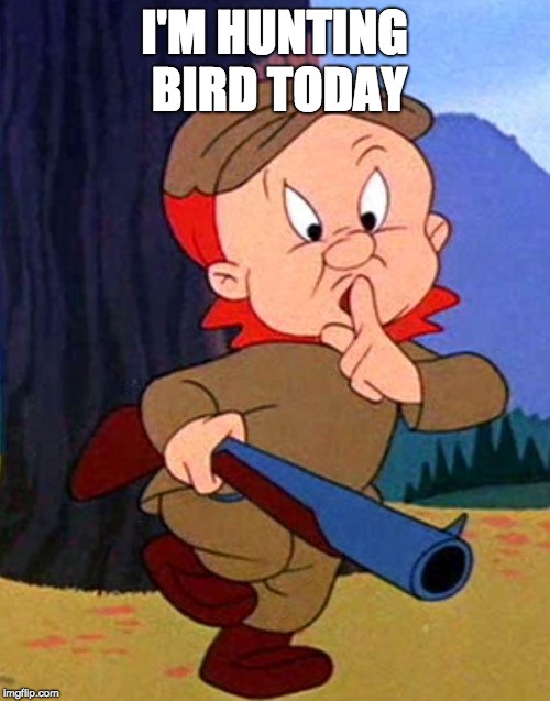 Elmer Fudd | I'M HUNTING BIRD TODAY | image tagged in elmer fudd | made w/ Imgflip meme maker