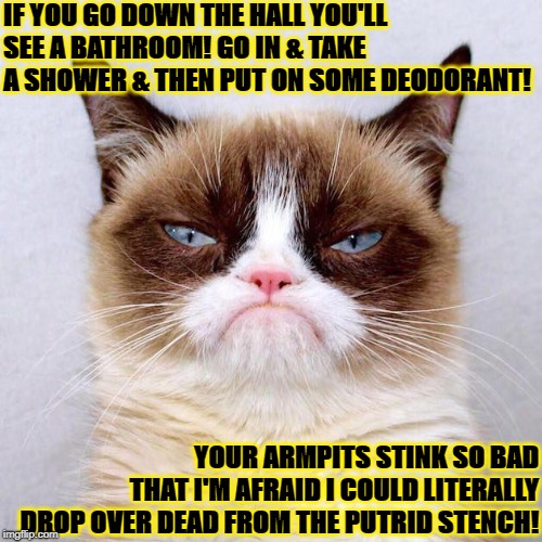 IF YOU GO DOWN THE HALL YOU'LL SEE A BATHROOM! GO IN & TAKE A SHOWER & THEN PUT ON SOME DEODORANT! YOUR ARMPITS STINK SO BAD THAT I'M AFRAID I COULD LITERALLY DROP OVER DEAD FROM THE PUTRID STENCH! | image tagged in judgment grumpy | made w/ Imgflip meme maker