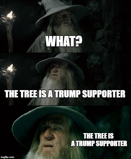 Confused Gandalf | WHAT? THE TREE IS A TRUMP SUPPORTER; THE TREE IS A TRUMP SUPPORTER | image tagged in memes,confused gandalf | made w/ Imgflip meme maker