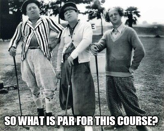 Golf | SO WHAT IS PAR FOR THIS COURSE? | image tagged in golf | made w/ Imgflip meme maker