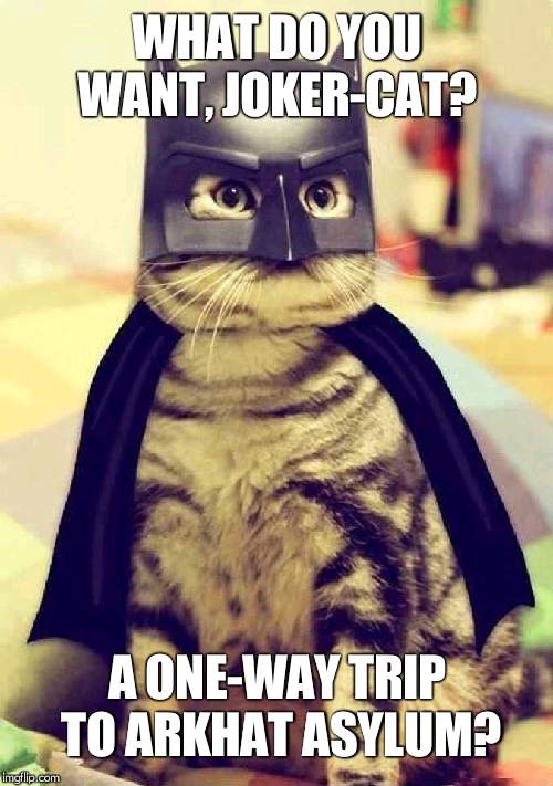 BatCat | WHAT DO YOU WANT, JOKER-CAT? A ONE-WAY TRIP TO ARKHAT ASYLUM? | image tagged in batcat | made w/ Imgflip meme maker