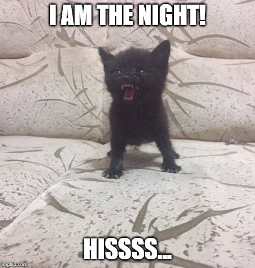 I am the night! | I AM THE NIGHT! HISSSS... | image tagged in cute,funny,cat,kitten | made w/ Imgflip meme maker