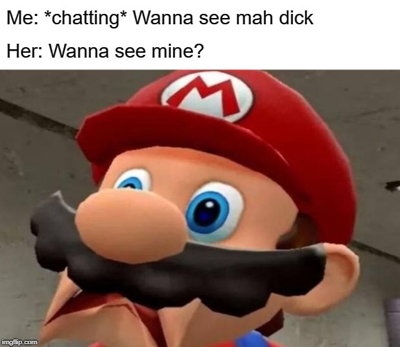 Internet is not a safe place (:[ | Me: *chatting* Wanna see mah dick; Her: Wanna see mine? | image tagged in mario wtf,tranny | made w/ Imgflip meme maker