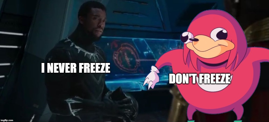 I never freeze | DON'T FREEZE; I NEVER FREEZE | image tagged in black panther | made w/ Imgflip meme maker
