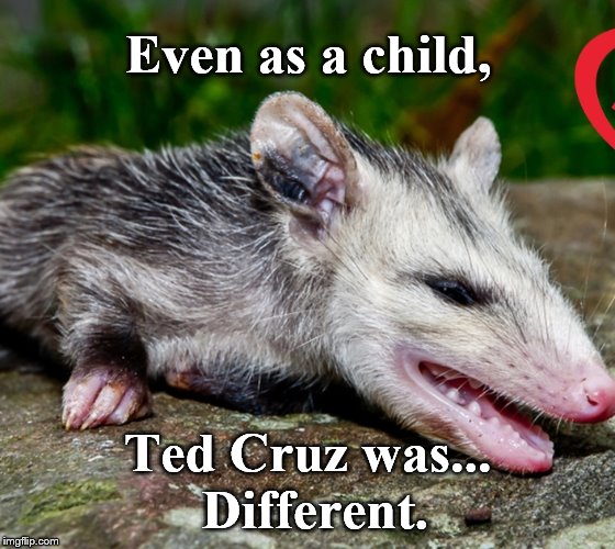Doesn't look (or behave) like your typical Princeton, Harvard Law  guy.  | Even as a child, Ted Cruz was...  Different. | image tagged in friend request | made w/ Imgflip meme maker