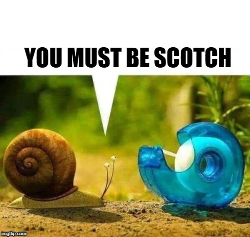 YOU MUST BE SCOTCH | made w/ Imgflip meme maker