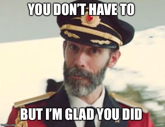 Captain Obvious | YOU DON’T HAVE TO BUT I’M GLAD YOU DID | image tagged in captain obvious | made w/ Imgflip meme maker