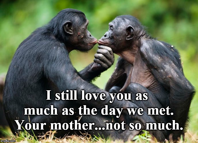 Love is Love! | I still love you as much as the day we met. Your mother...not so much. | image tagged in monkey business | made w/ Imgflip meme maker