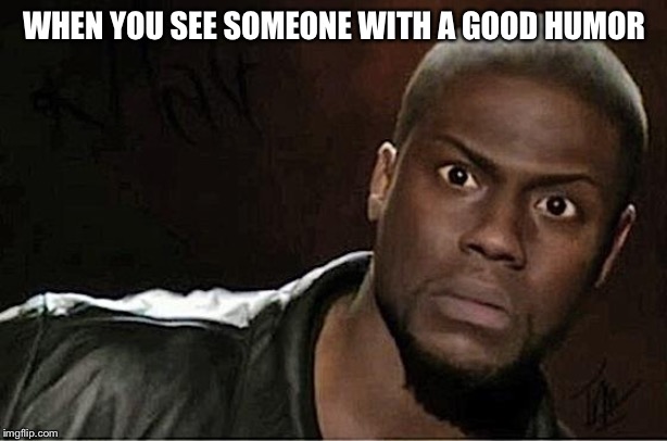 Kevin Hart | WHEN YOU SEE SOMEONE WITH A GOOD HUMOR | image tagged in memes,kevin hart | made w/ Imgflip meme maker