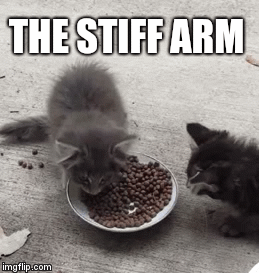 THE STIFF ARM | image tagged in gifs | made w/ Imgflip video-to-gif maker