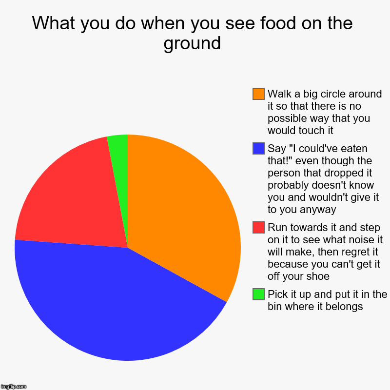 What you do when you see food on the ground | Pick it up and put it in the bin where it belongs, Run towards it and step on it to see what n | image tagged in charts,pie charts | made w/ Imgflip chart maker