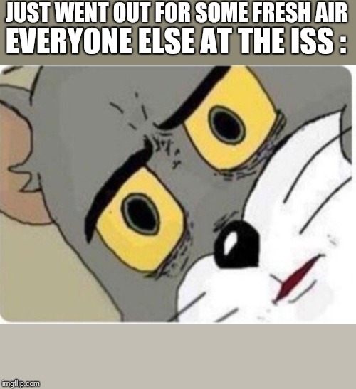 Tom and Jerry meme | EVERYONE ELSE AT THE ISS :; JUST WENT OUT FOR SOME FRESH AIR | image tagged in tom and jerry meme,memes,funny,awkward,that face you make when | made w/ Imgflip meme maker